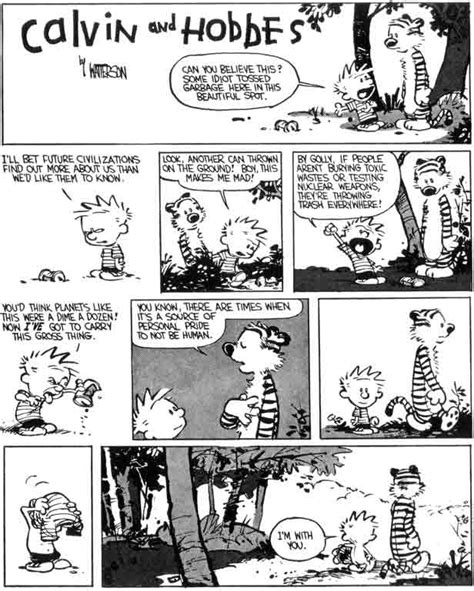 best calvin and hobbes strips